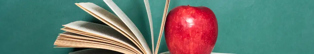 Professional Development