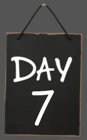 How eXp Onboarding Works in 6 Steps - And How Not to Blow It 11 Day 7